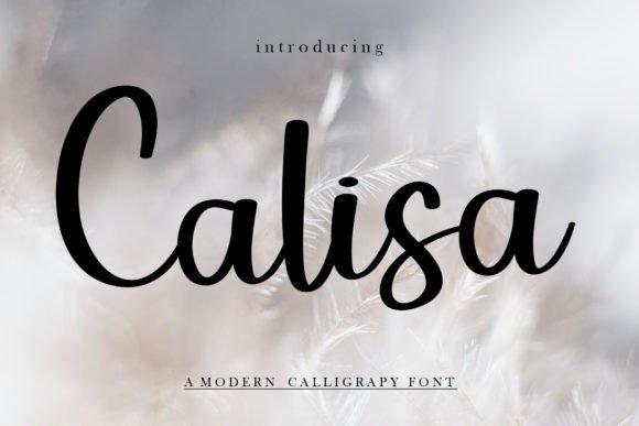Calisa: A Handwritten Font That Elevates Small Business Branding