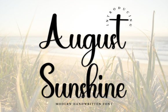How August Sunshine Font Transformed Our Campaign Visuals