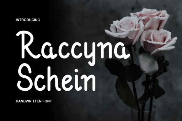 Raccyna Schein Font: A Maker’s Best Friend for Modern Typography
